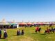 Naadam-Fest